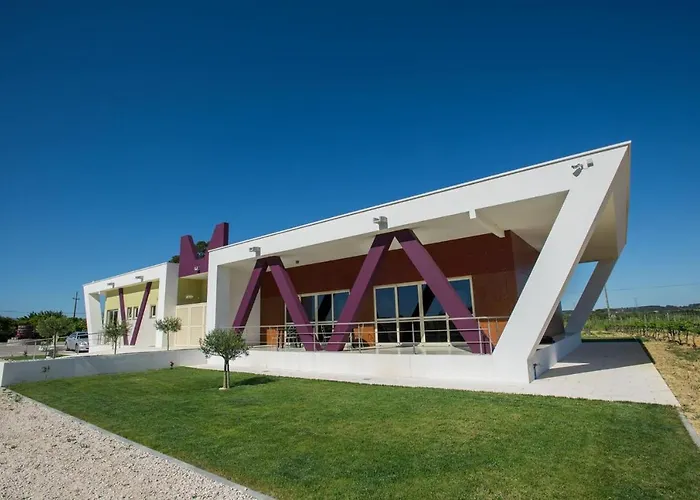Quinta Monteiro De Matos - Enoturismo
