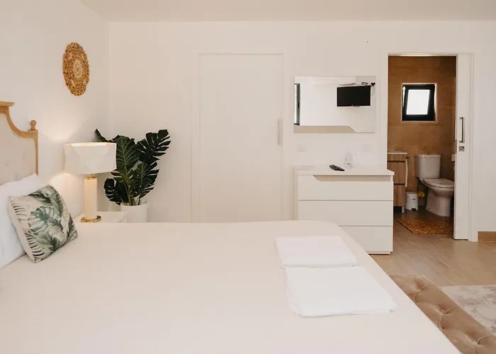 Quinta Monteiro De Matos - Enoturismo