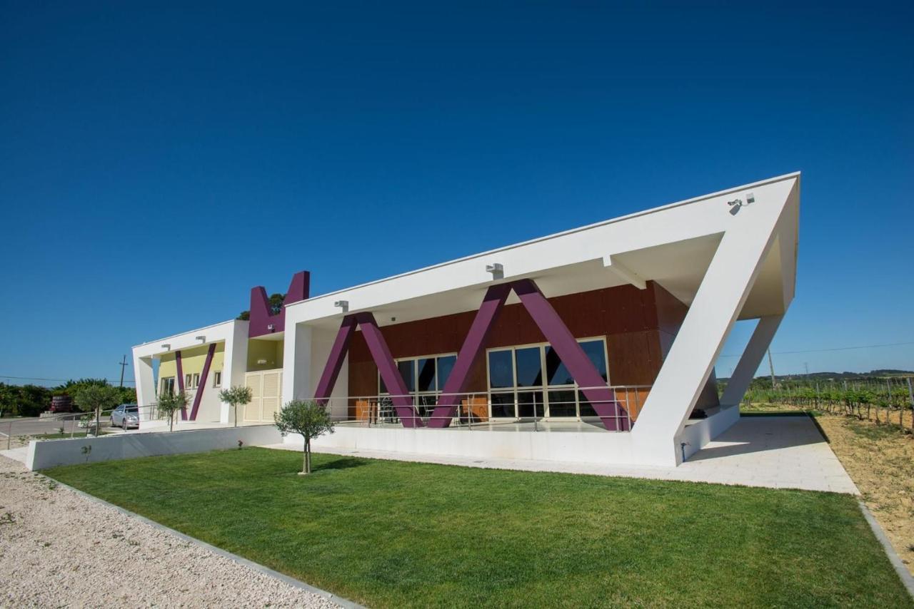 Quinta Monteiro De Matos - Enoturismo *